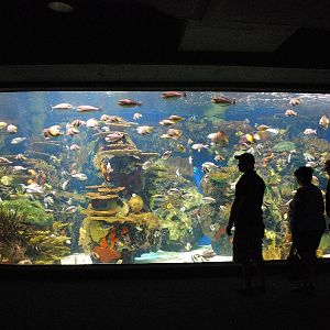 Various pictures of MB