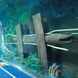 Various pictures of MB