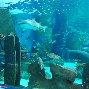 Various pictures of MB