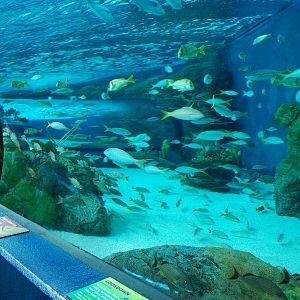 Various pictures of MB