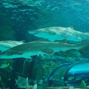 Various pictures of MB