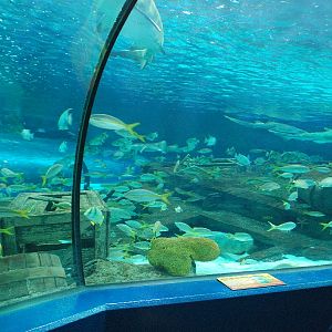 Various pictures of MB