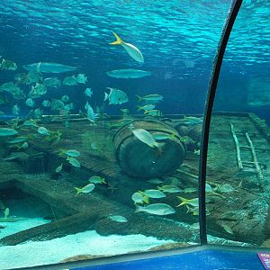 Various pictures of MB