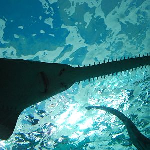 Various pictures of MB