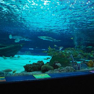 Various pictures of MB