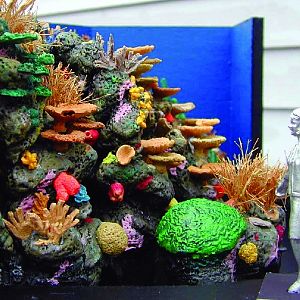 Various pictures of MB