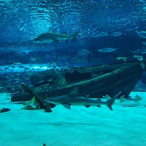 Various pictures of MB