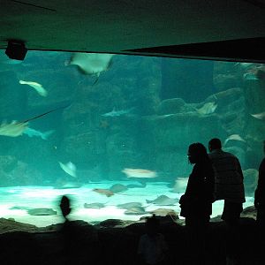 Various pictures of MB