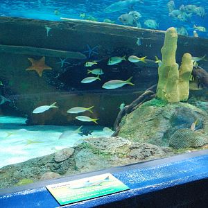 Various pictures of MB