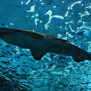 Various pictures of MB