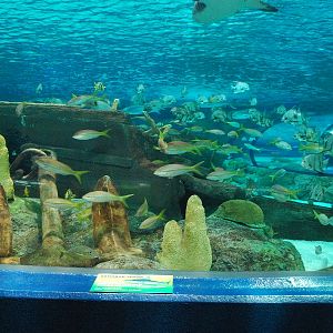 Various pictures of MB