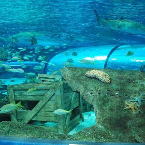 Various pictures of MB