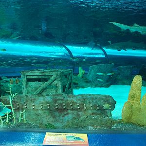 Various pictures of MB