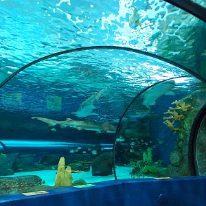 Various pictures of MB