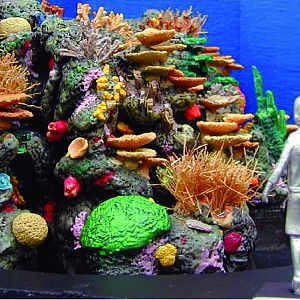 Various pictures of MB