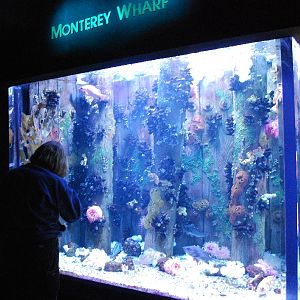 Various pictures of MB