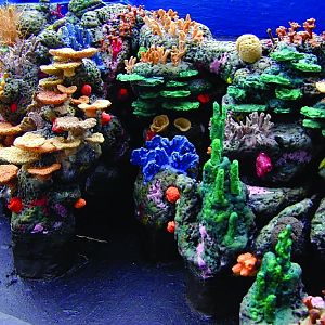 Various pictures of MB