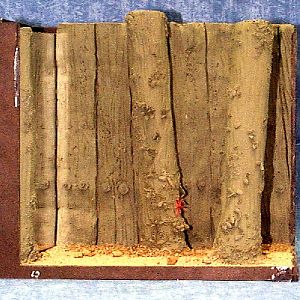 Various pictures of MB