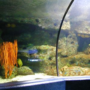 Various pictures of MB