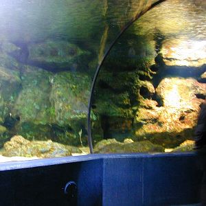 Various pictures of MB