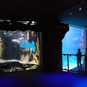 various pictures of Virginia Aquarium