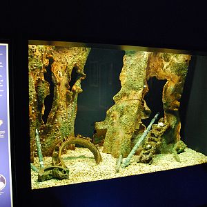 various pictures of Virginia Aquarium