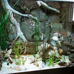 various pictures of Virginia Aquarium