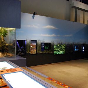 various pictures of Virginia Aquarium