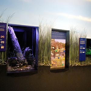 various pictures of Virginia Aquarium