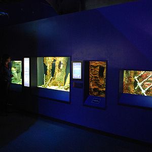 various pictures of Virginia Aquarium