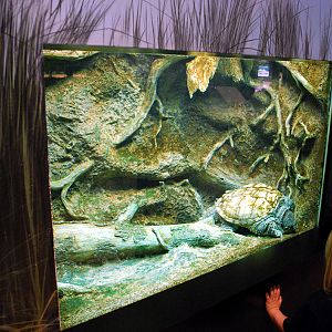 various pictures of Virginia Aquarium