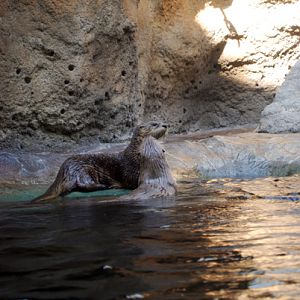 various pictures of Virginia Aquarium