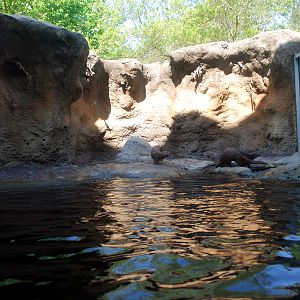 various pictures of Virginia Aquarium