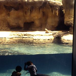 various pictures of Virginia Aquarium