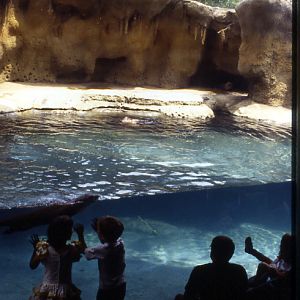 various pictures of Virginia Aquarium