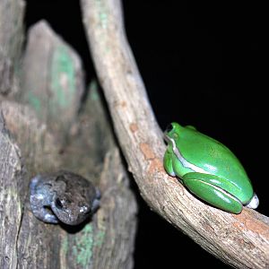 various pictures of Virginia Aquarium
