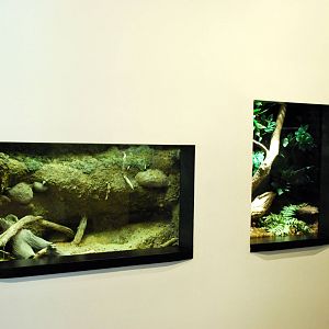 various pictures of Virginia Aquarium