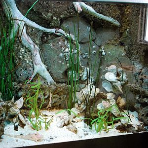 Varous pictures of VA