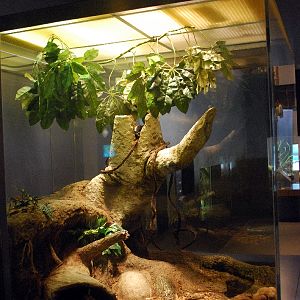 Varous pictures of VA