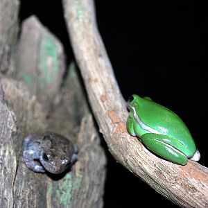 Varous pictures of VA