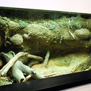 Varous pictures of VA