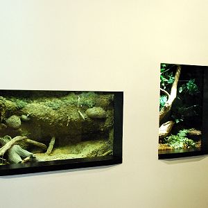 Varous pictures of VA