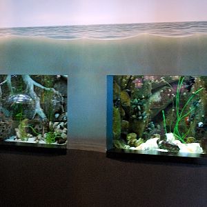 Varous pictures of VA