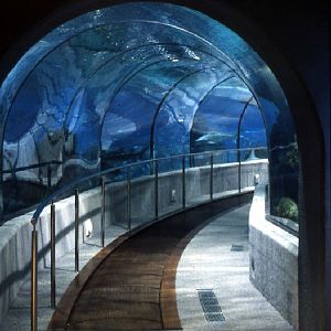 Various pictures of Barcelona