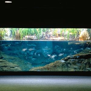 Various pictures of Barcelona