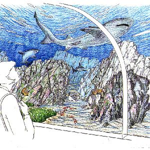 Various pictures of Barcelona