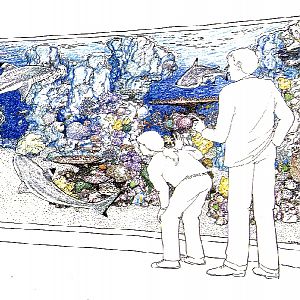 Various pictures of Barcelona