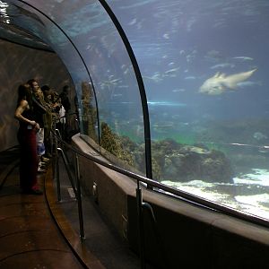 Various pictures of Barcelona