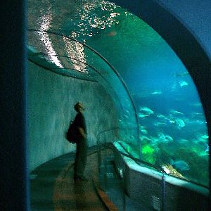 Various pictures of Barcelona