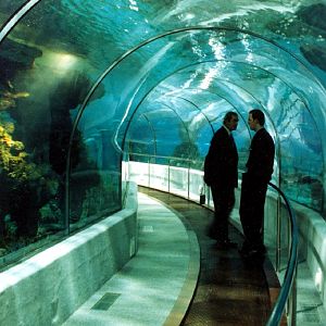 Various pictures of Barcelona